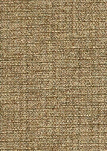 Large-96257-Shoreline