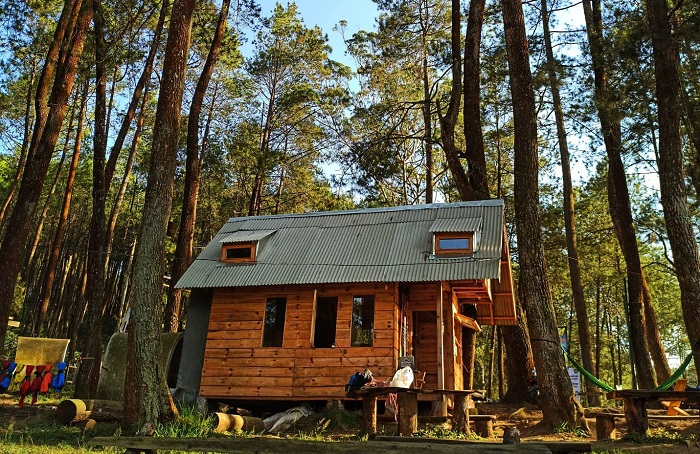Hutan Pinus Rahong