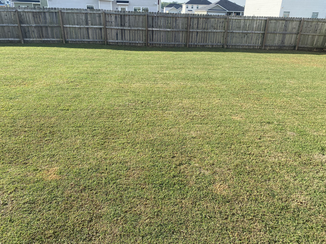 9A31CBF3-3658-42F7-9515-16C0894E1D47