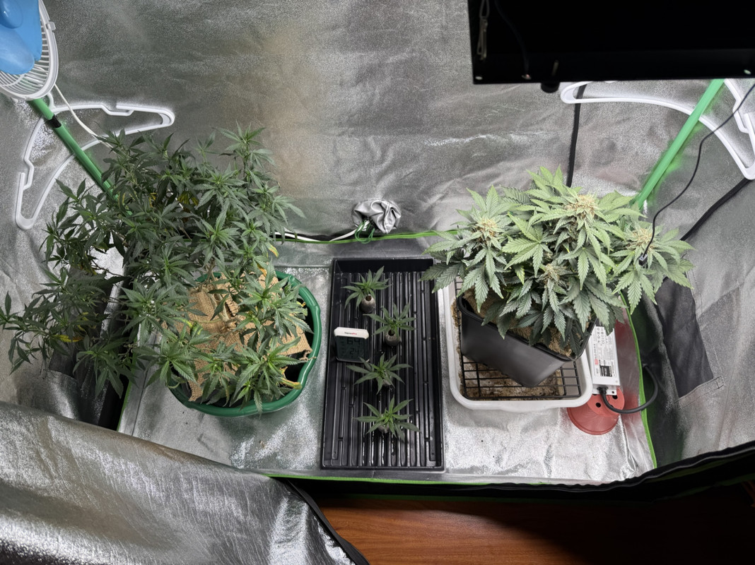 3392BCC1-7E63-4F2F-BE6D-49BF9EE92963