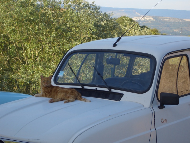 ebay 5 septembre 070