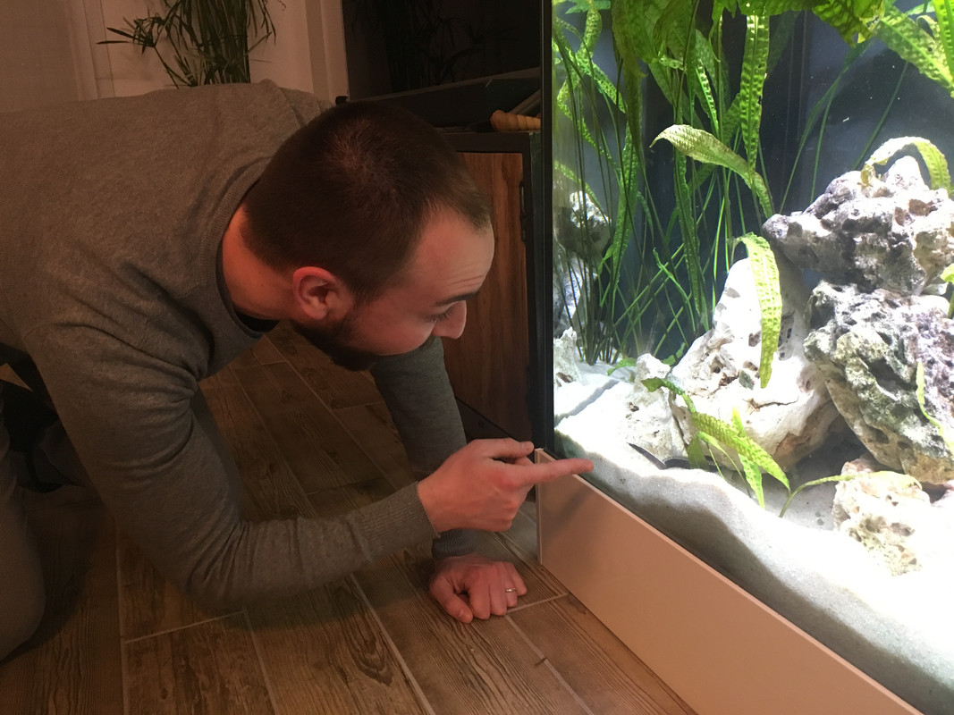 776076B5-CA5A-4CB2-93AD-93D8E6418FF6