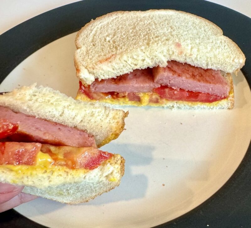 spam1-800x728.jpg