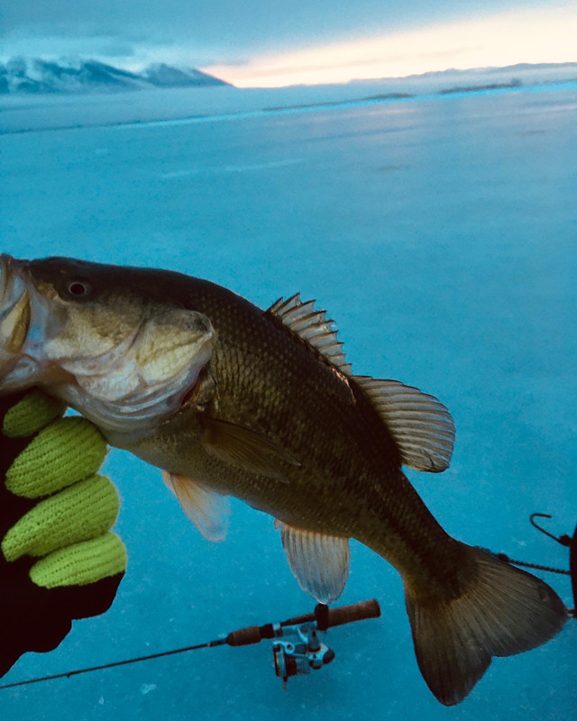 182A623E-A3A2-4973-85E0-F9DA4DE34720