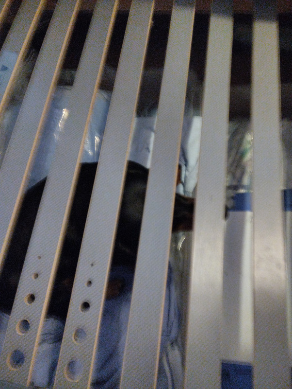 [Image: 1683981902472.jpg]