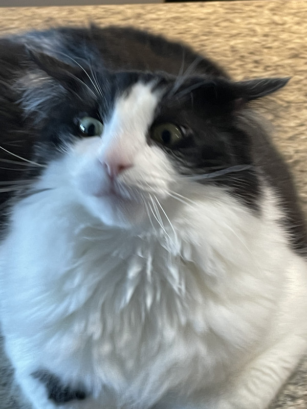 16ADB236-36BC-44FD-BAFE-B35D7F35949B