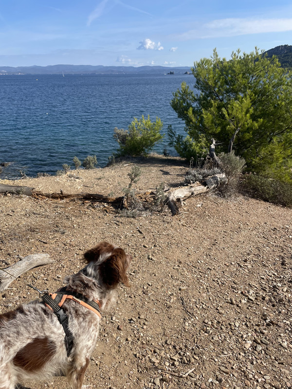 5344B3A6-F985-4359-92BD-0DC6C3D6CBE9