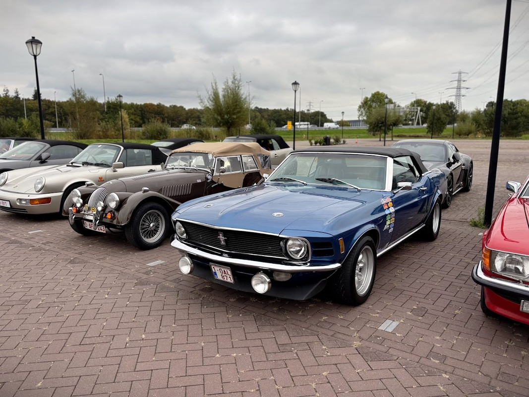 20251010-mustang-morgan.jpg