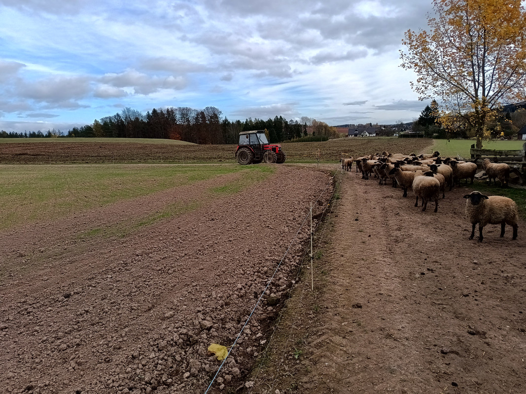 IMG_20241102_122729903_HDR