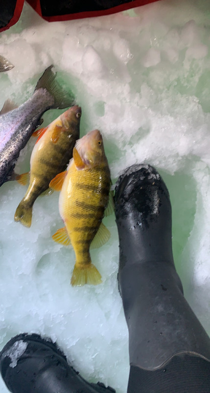 0CED1AD6-5F7F-4A92-BC1E-081110C576D4