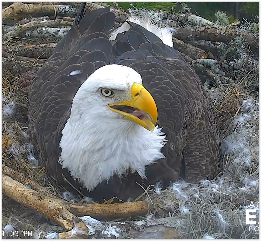 Screen Shot 02-01-20 at 07.02 PM