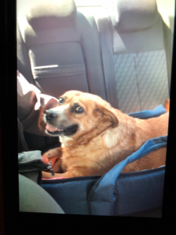 404414C5-7D33-4344-9355-46451662E535