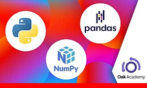 Python - NumPy & Pandas Python Programming Language Libraries (2023-05)