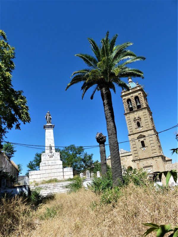 MONTILLA-3-7-2020 - Córdoba y sus pueblos-2017/2020 (49)