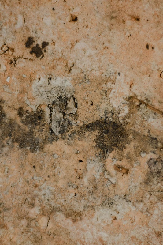 Preventing basement flooding and mold in a Green Bay Wisconsin home