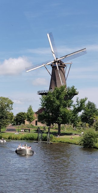Escapada por Amsterdam - La Haya - Delft - Rotterdam - Leiden - Londres - Blogs de Europa - Museo Mauritshuis, decepcionante Depot Boijmans y callejeo por Delft y Leiden (139)