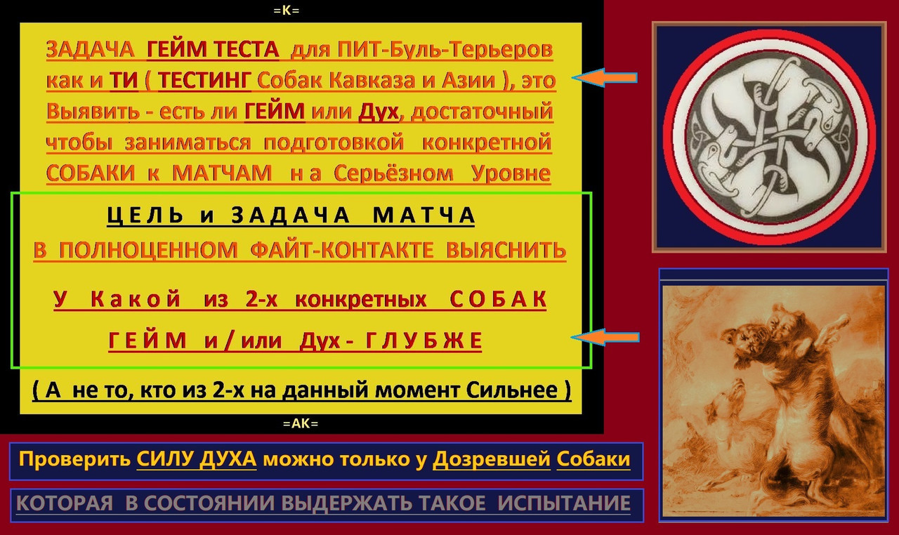 Притравки 6 ТЕСТ на Силу Духа