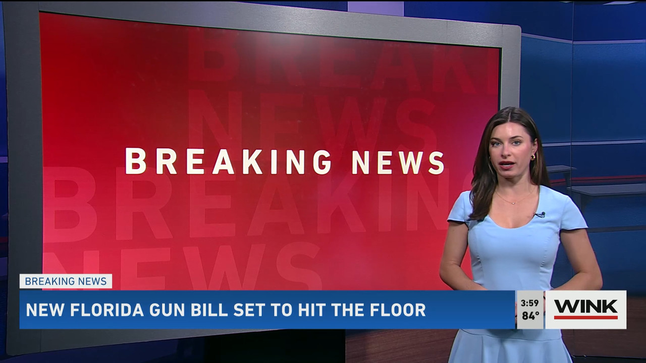 01.31 - 20.00.00 - WINK News at 3pm  ᴺᵉʷ..ts_snapshot_01.06.07.041