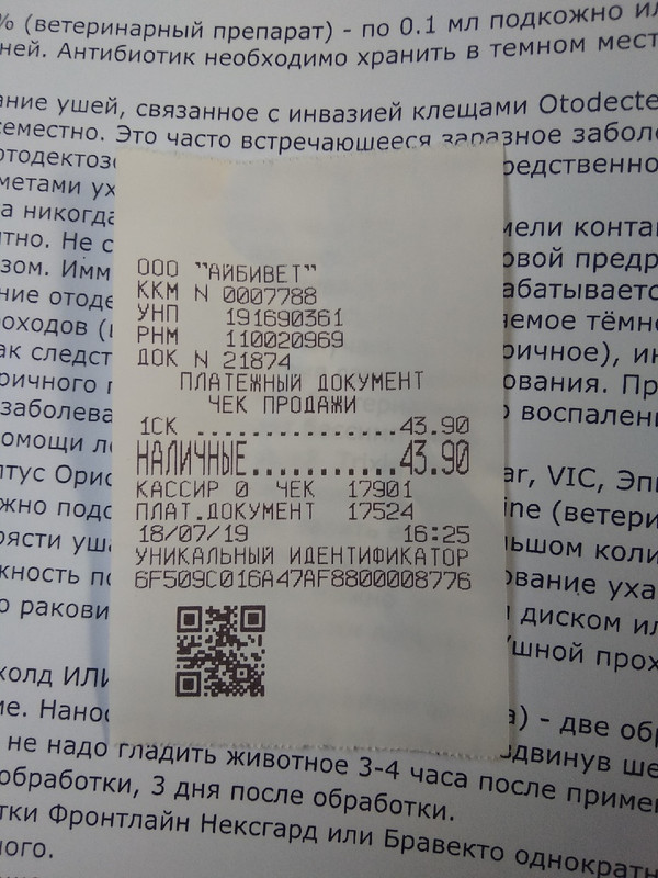 Мята_Хлоя_ч