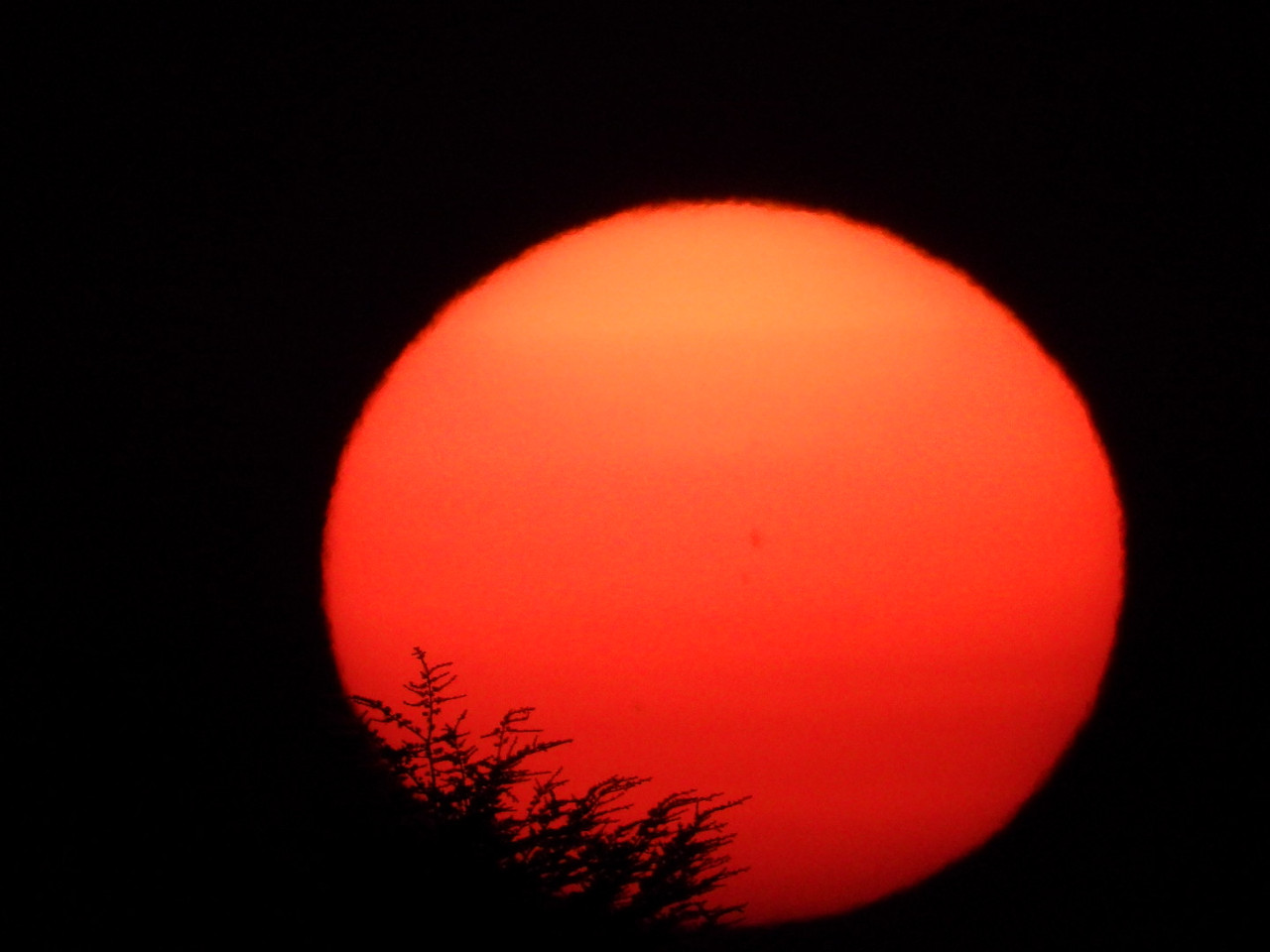 DSCN2043-2.jpg