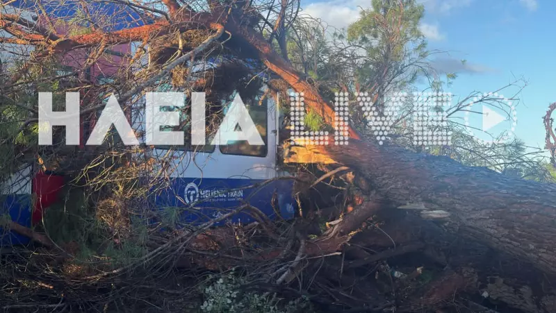 κοζάνη, ειδήσεις, νέα, Πτολεμαΐδα