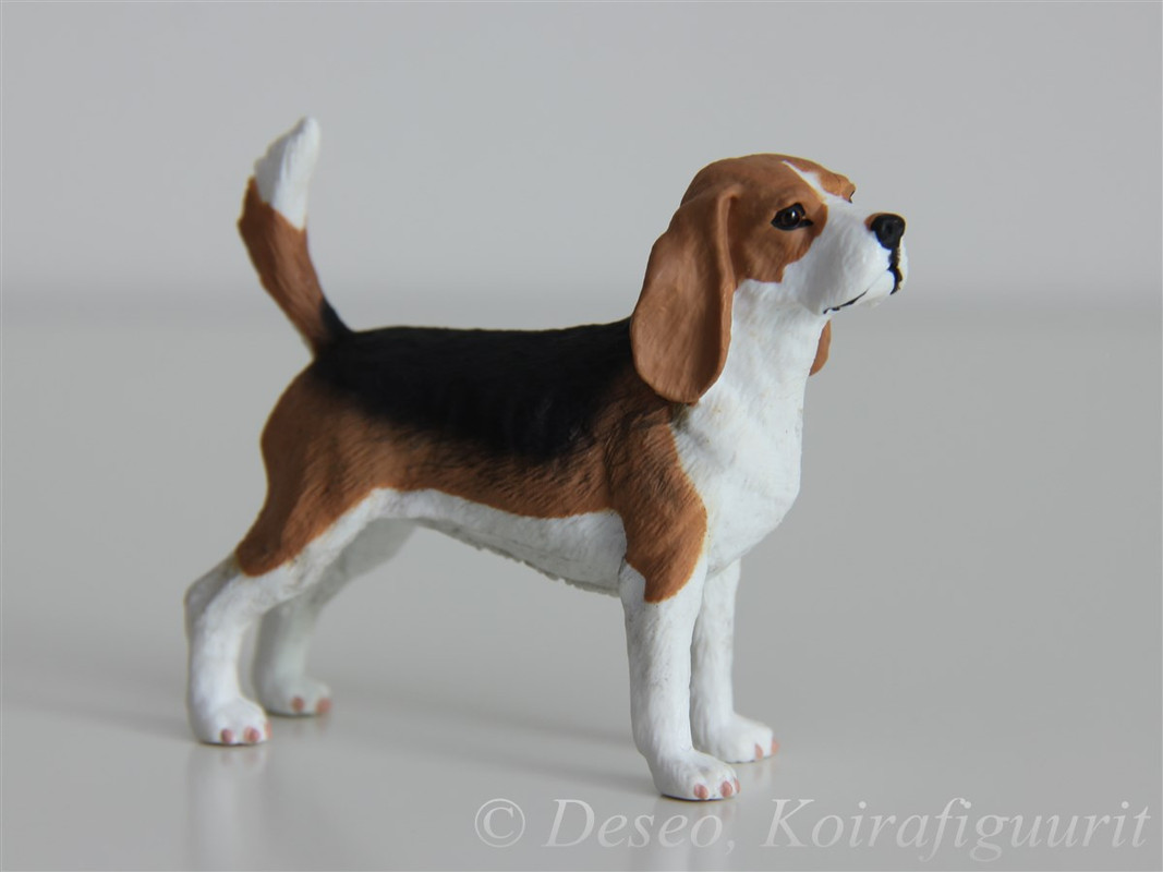 Beagle