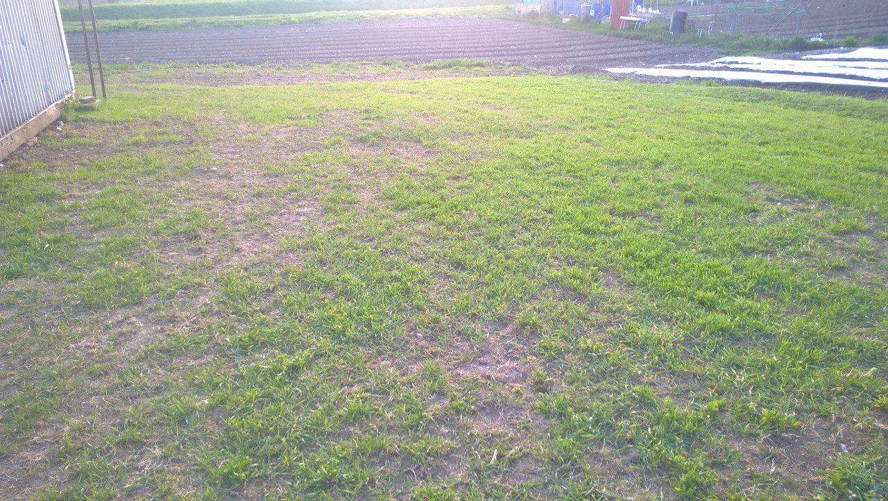 WP_20170421_18_39_38_Pro