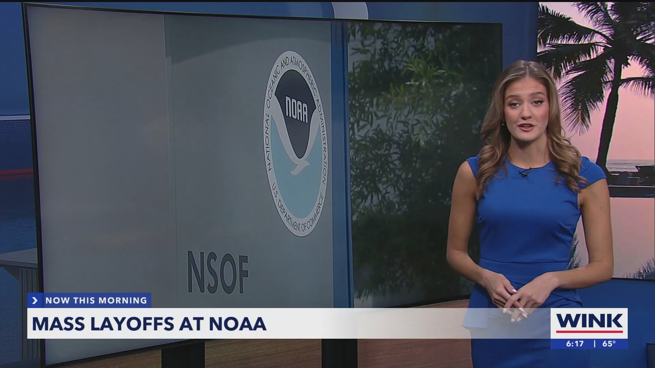 WINK NEWS at 600am Sunday_20250302_11001200.ts_snapshot_17.55.907