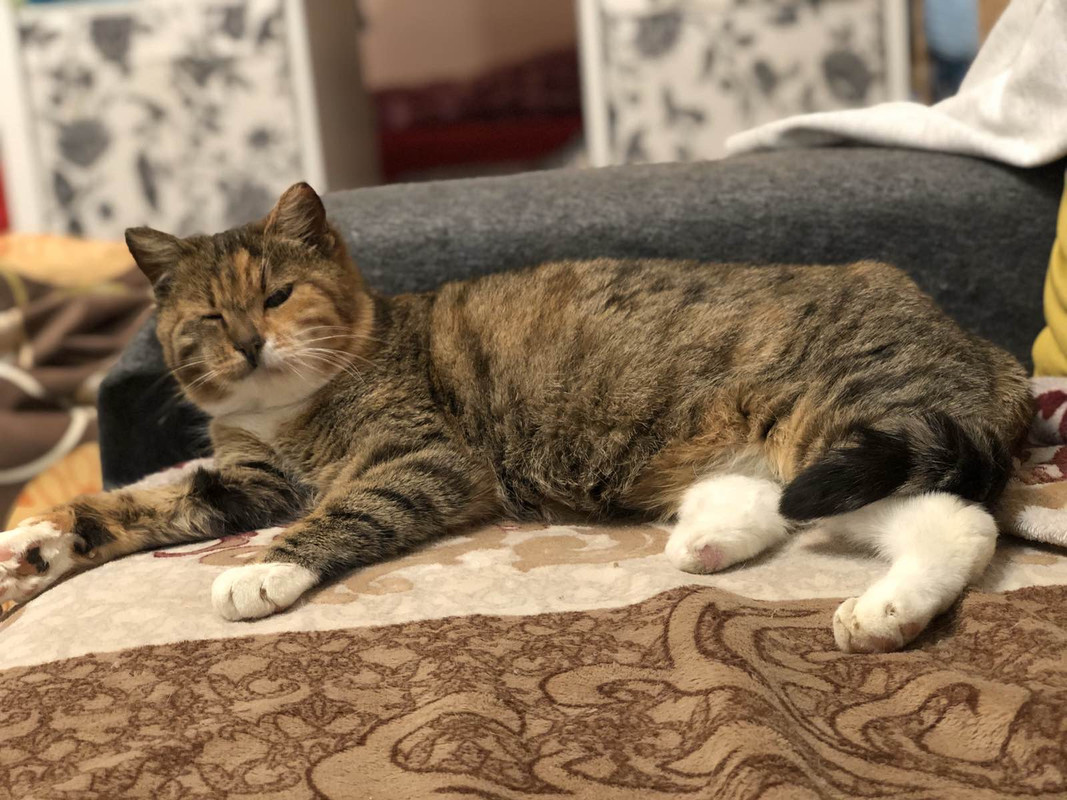 3B444C4F-E5B2-4CFE-BA92-14E9CC637119