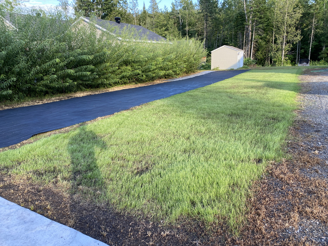peat moss roller rental home depot