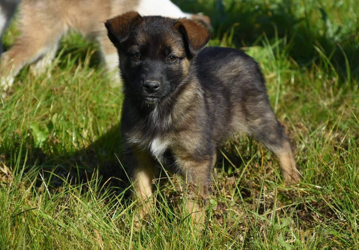 50F75F80-1D16-420C-AAB6-FA4ACF24831B