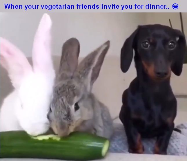 2025-01-08-1402122a.png