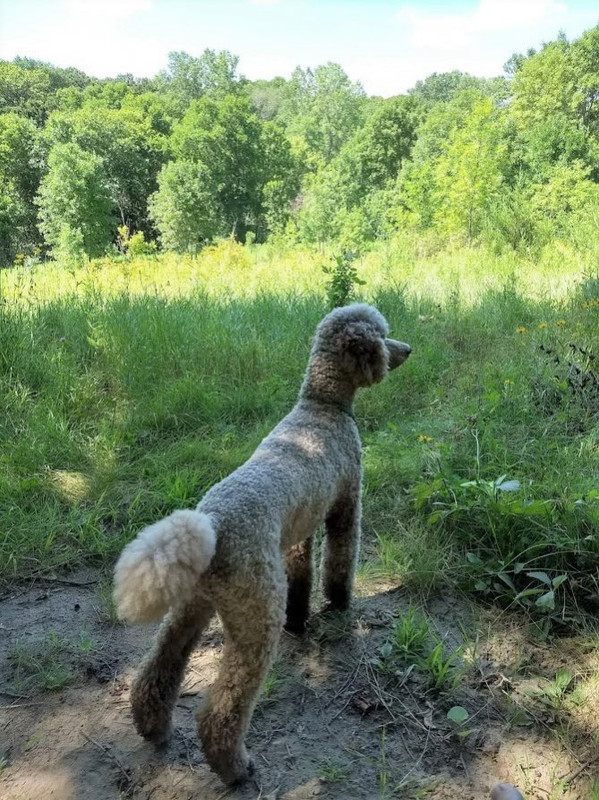 Reraven & Zephyr 3 - Oct 2019