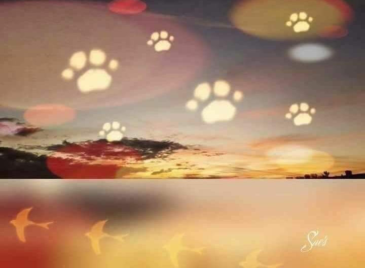 [Image: 20230521-183025.jpg]