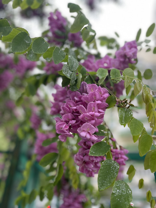 BF9C6EAF-4B20-41BF-B42B-09FA80821D24