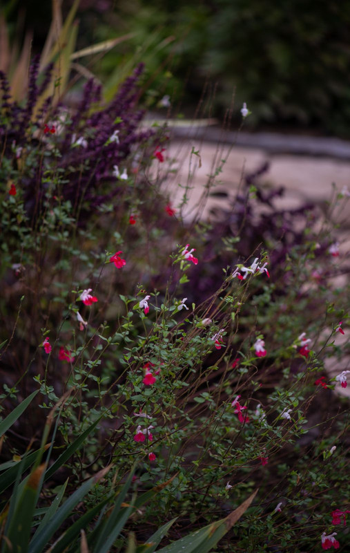 IMG-80c2ae4bd1d4c4af468cb280fb10504e-V