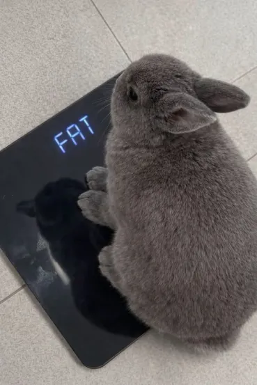 Hello Theo (in italics)