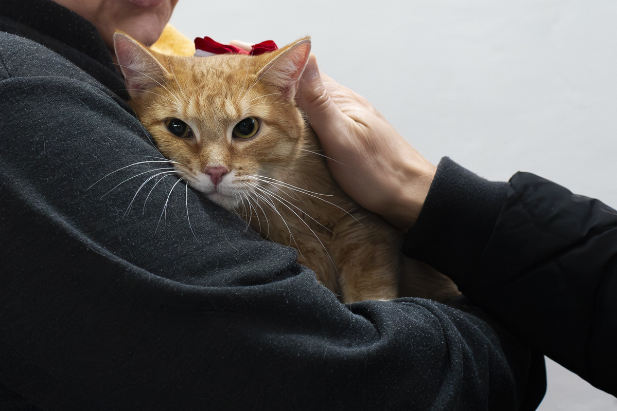 DSC_9009-Улучшено-NR