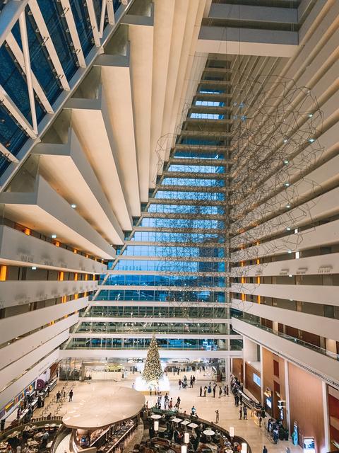 Vuelta a Singapur y fin del viaje. - Singapur e Indonesia 2018 (6)