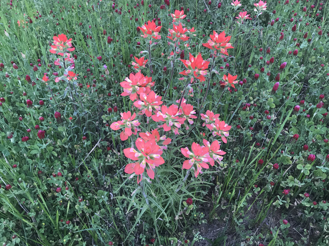 54CD7EAC-70AA-4379-9872-8A8C20875633