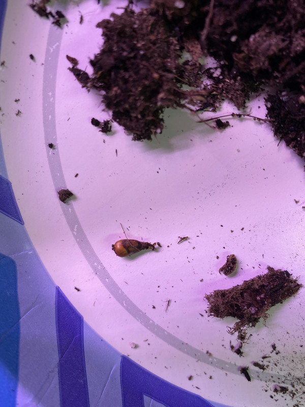 6B76BFE7-73B6-49FF-8516-8C7F99883195