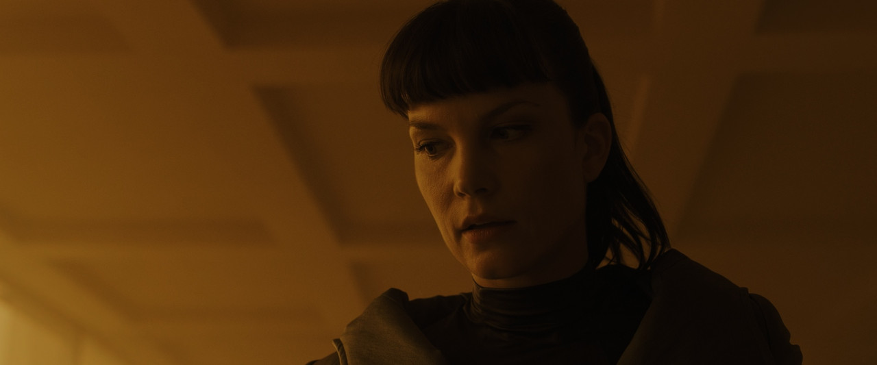 Blade Runner 2049 (2017).mkv_snapshot_02.00.31_[2018.01.23_00.15