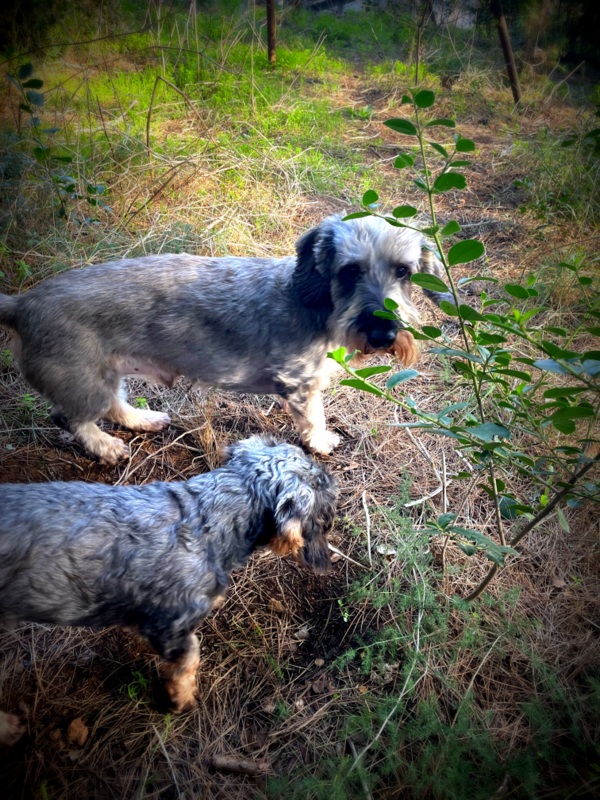 [Image: IMG-2174.jpg]