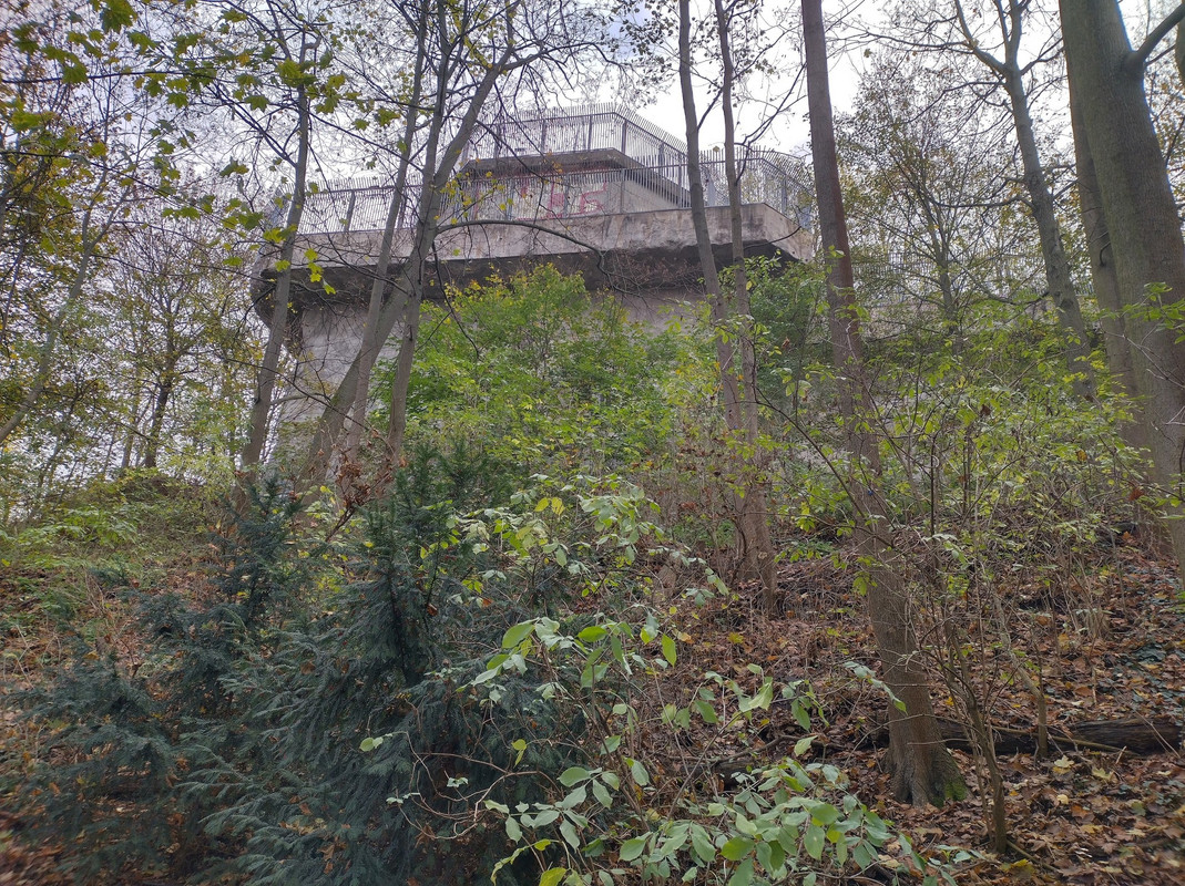 313363837_844400440310641_327744617379725221_n