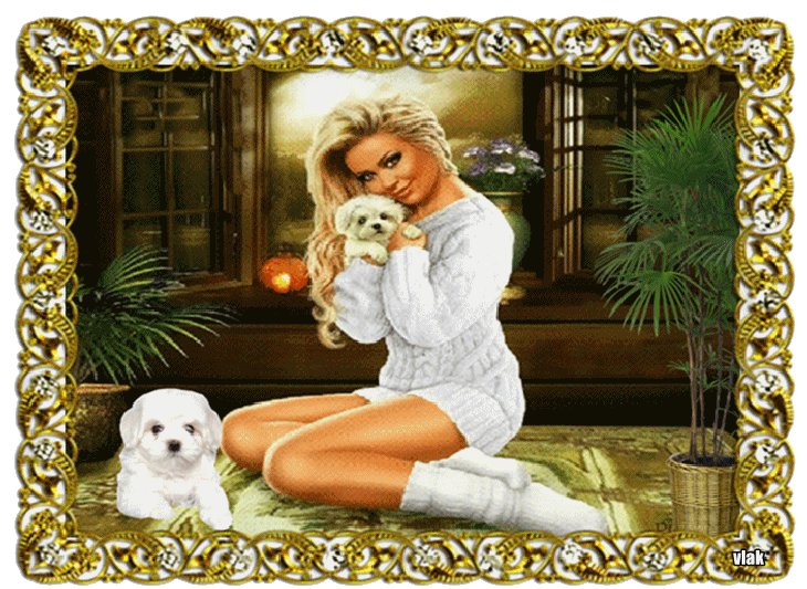 An den Beitrag angehängtes Bild: https://i.postimg.cc/tChyzwLS/21-2.gif