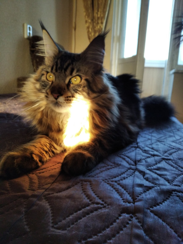 изображение_viber_2020-11-19_16-28-52