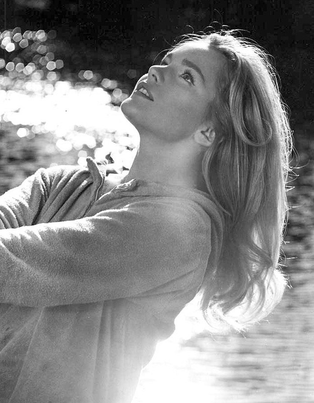 tuesday_weld_ma56
