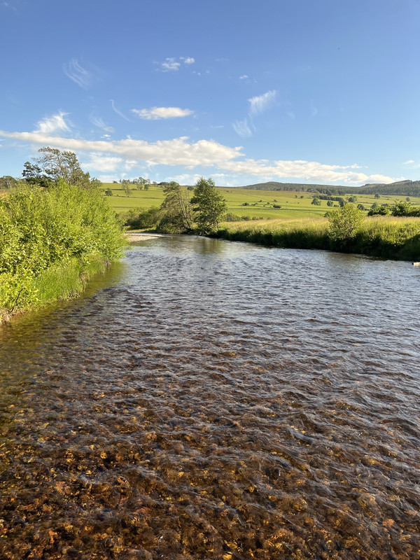 72A7433A-03EF-4802-A544-3A2E5734910C