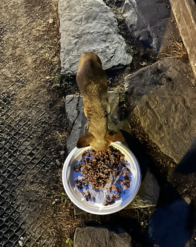 769AF0A6-D161-41EE-B390-59C0E1CC6D5E