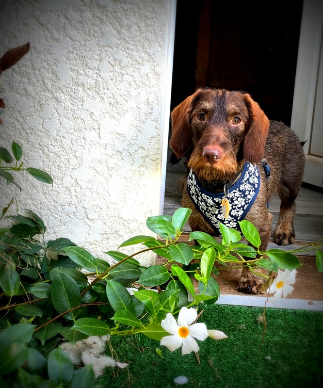 [Image: IMG-1858theodore.jpg]